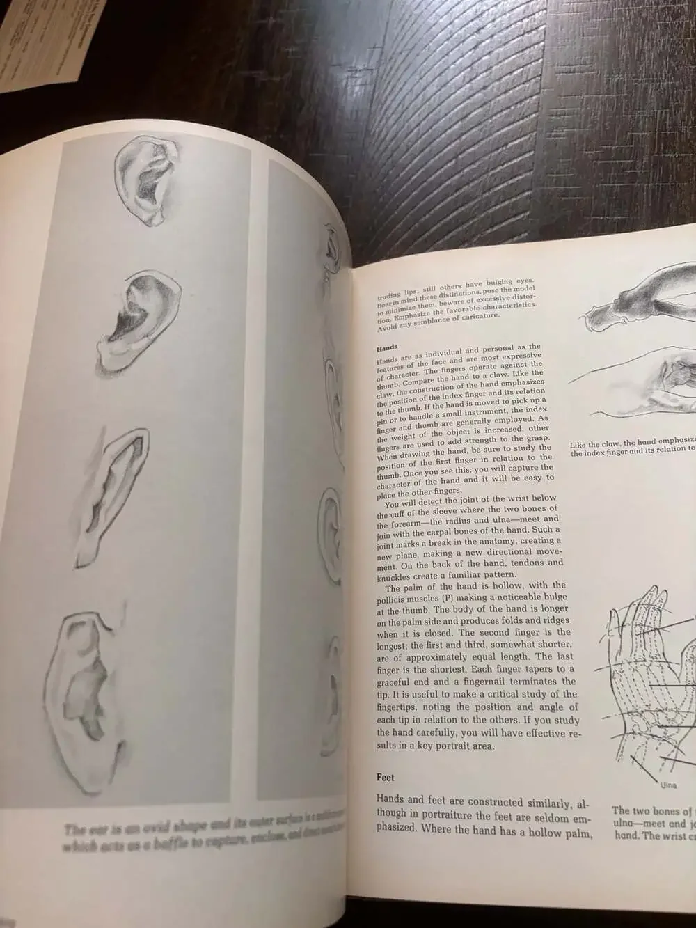 Complete Guide to Portrait Painting by Furman J. Finck Hardcover Book